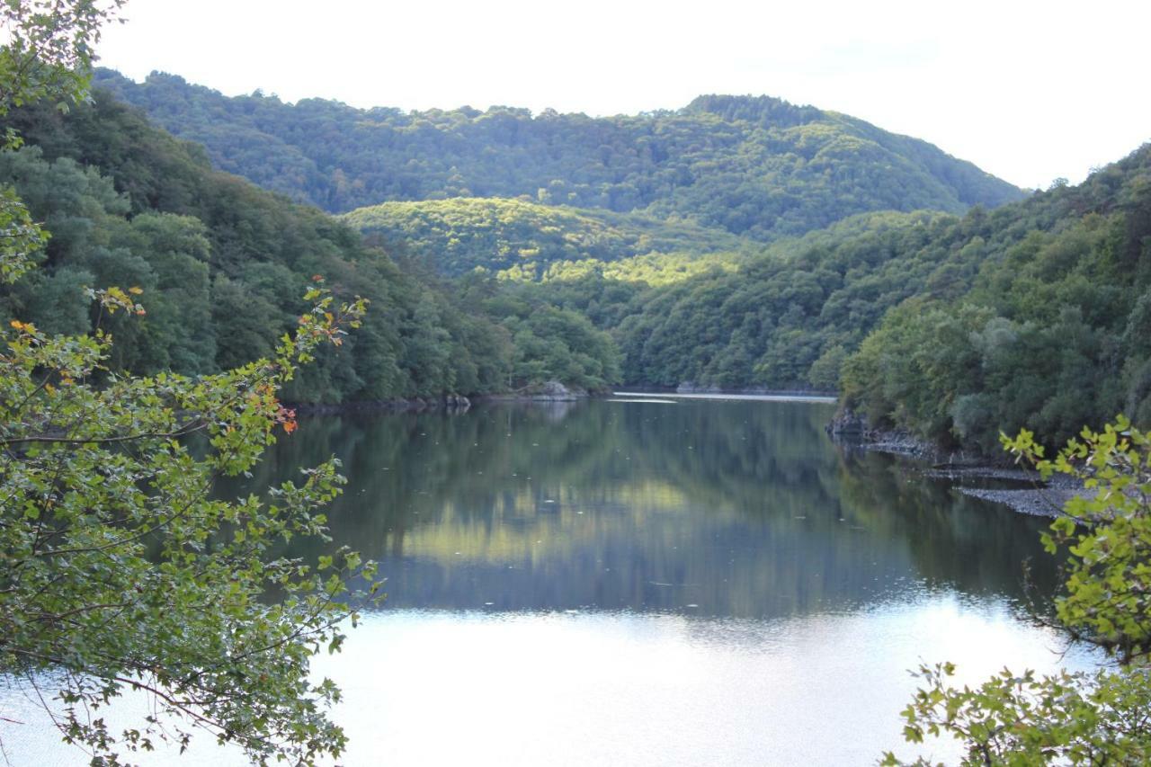 Maison Le Barrage Saint-Gervais-dʼAuvergne Exteriör bild